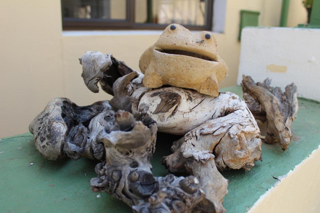 Onganga Hotel Pension Windhoek Dış mekan fotoğraf